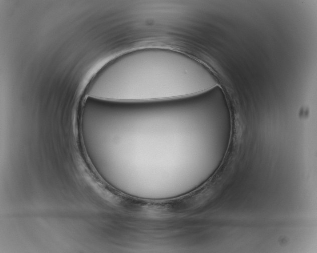 X0000113920788200909241328