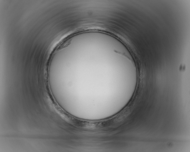 X0000113920790200909241328