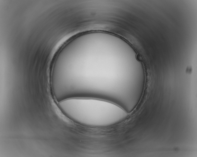 X0000113920792200909241328