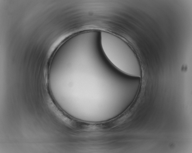 X0000113920796200909241328