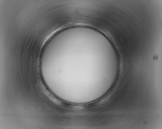 X0000113920798200909241328