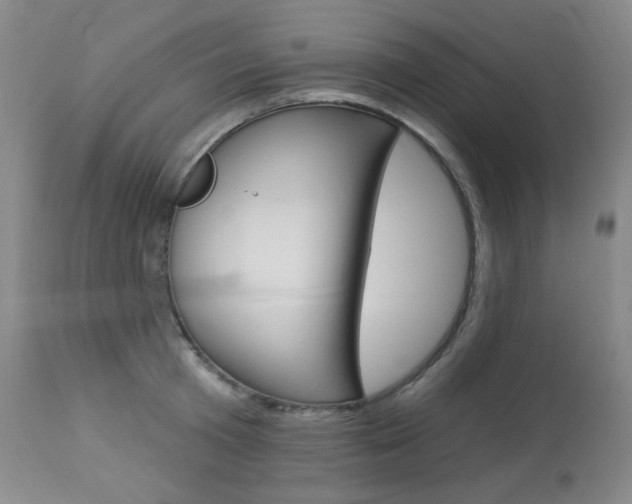 X0000113920801200909241328
