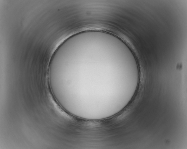 X0000113920802200909241328