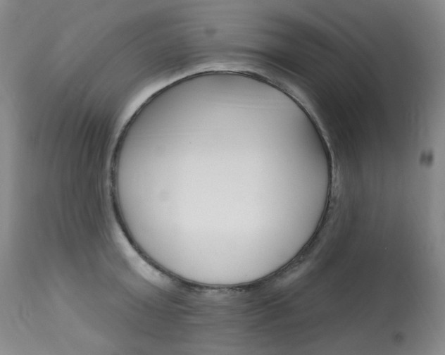 X0000113920803200909241328
