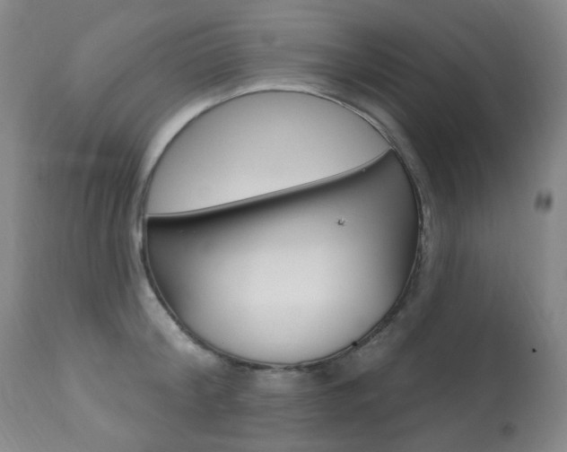 X0000113920804200909241328