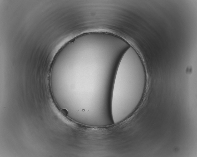 X0000113920805200909241328