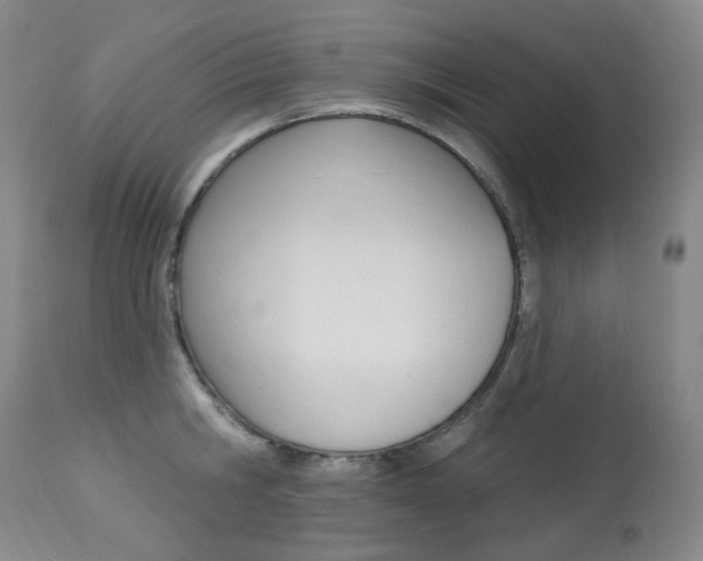 X0000113920806200909241328