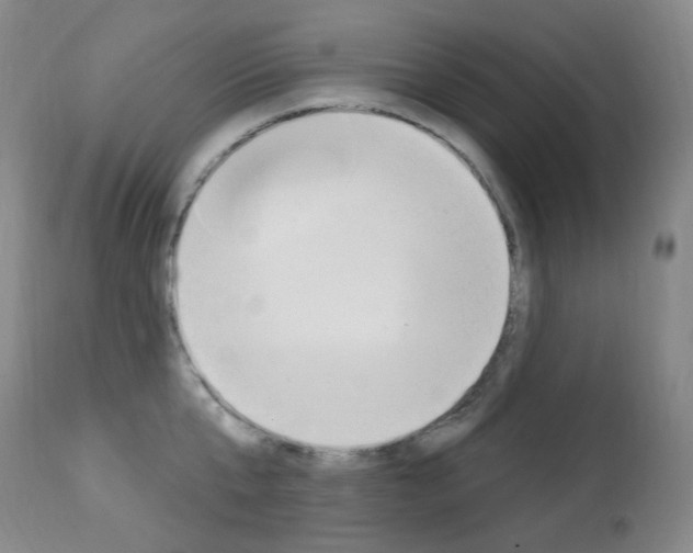 X0000113920807200909241328