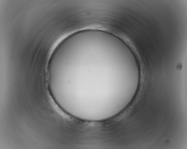 X0000113920808200909241328