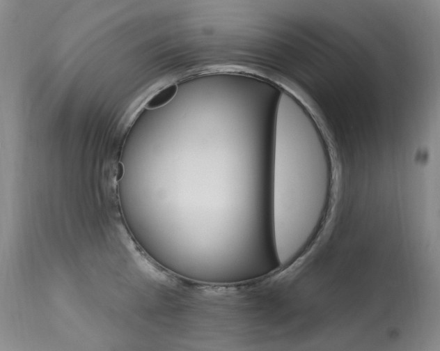 X0000113920809200909241328