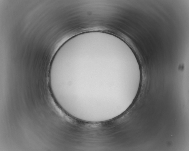 X0000113920810200909241328
