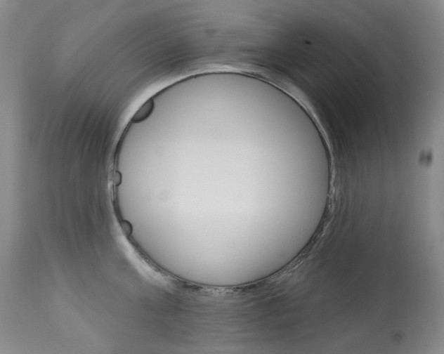 X0000113920811200909241328