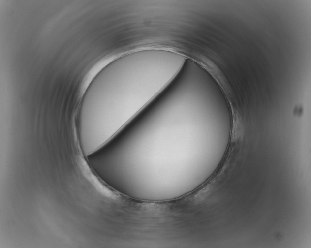 X0000113920812200909241328