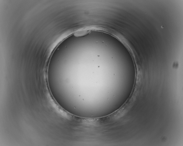 X0000113920813200909241328