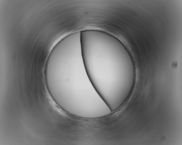 X0000113920814200909241328