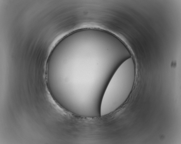 X0000113920815200909241328