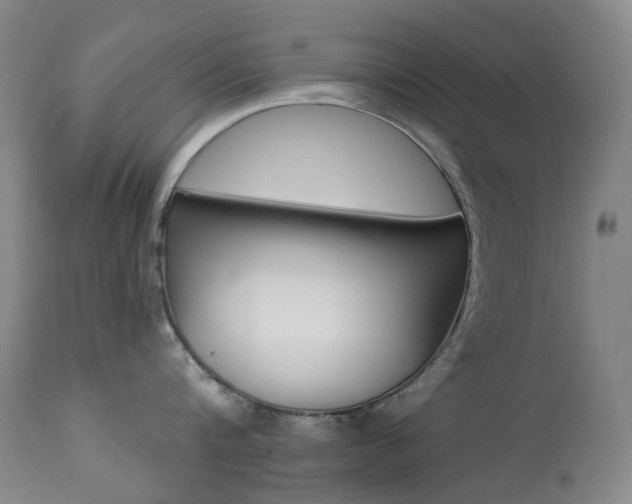 X0000113920816200909241328