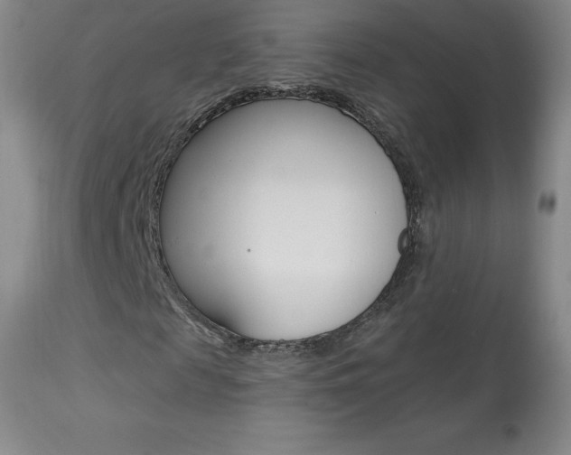 X0000113920817200909241327