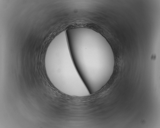 X0000113920818200909241327
