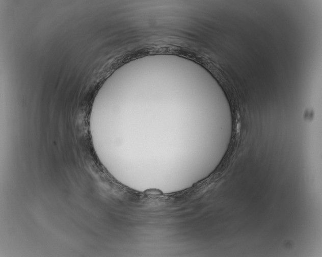 X0000113920819200909241327