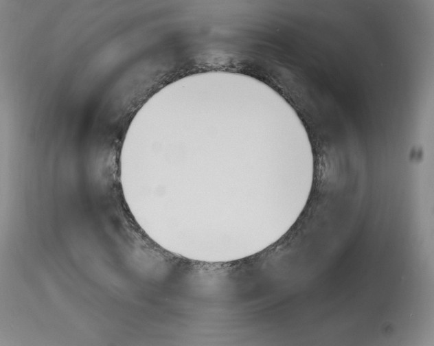X0000113920820200909241327