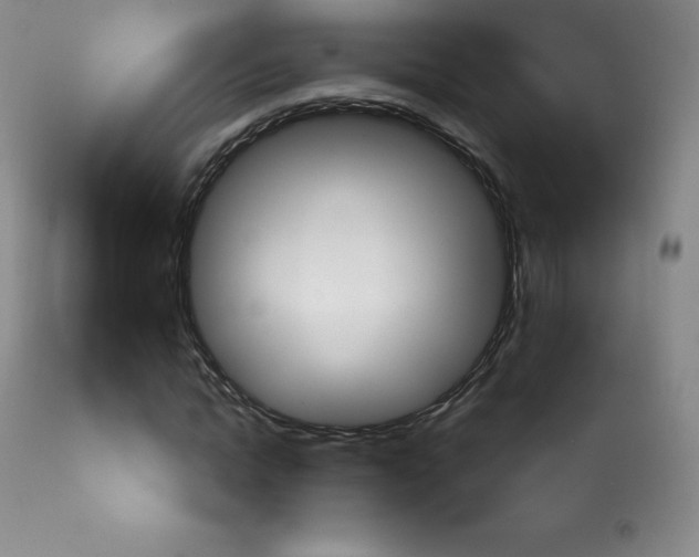 X0000113920822200909241327