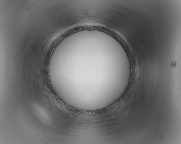 X0000113920823200909241327