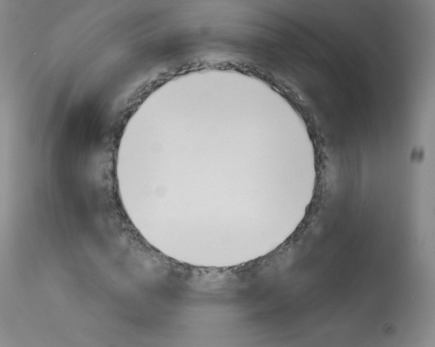X0000113920824200909241327
