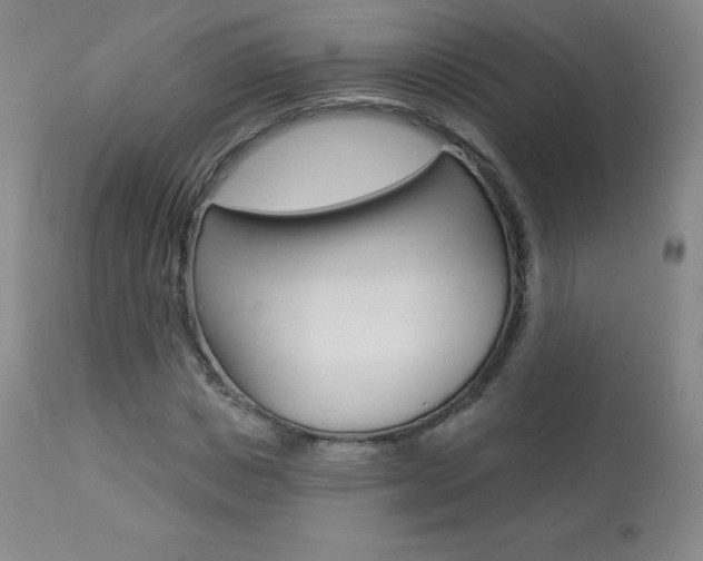 X0000113920825200909241327