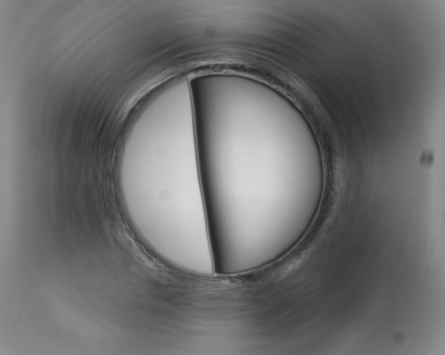 X0000113920826200909241327