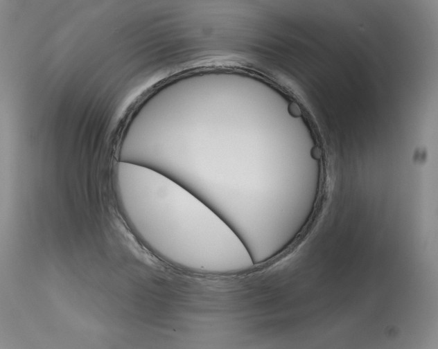 X0000113920827200909241327