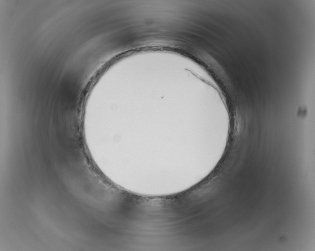 X0000113920828200909241327