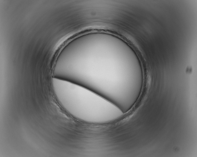X0000113920829200909241327