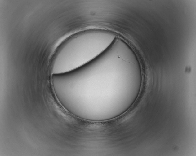 X0000113920830200909241327