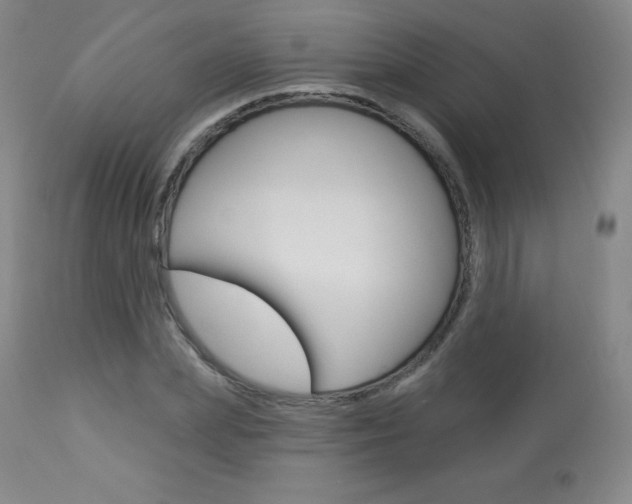 X0000113920831200909241327