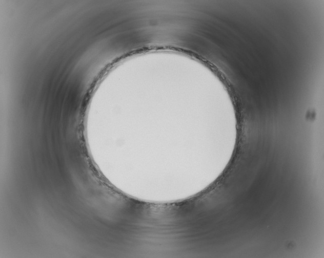 X0000113920832200909241327