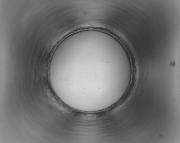X0000113920833200909241327