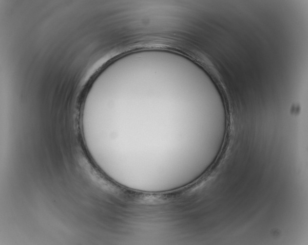 X0000113920835200909241327