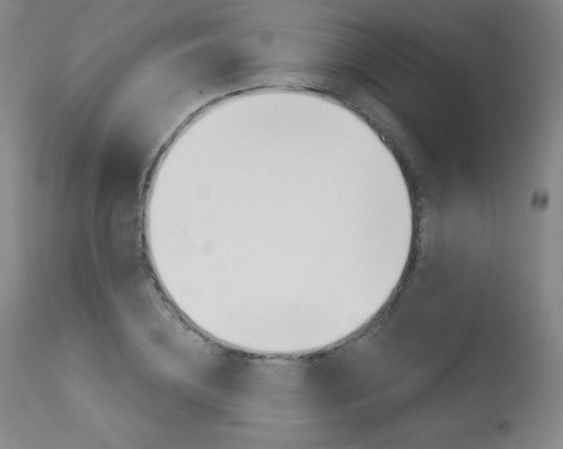 X0000113920836200909241327