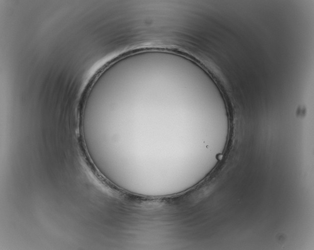 X0000113920838200909241328