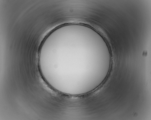 X0000113920839200909241328