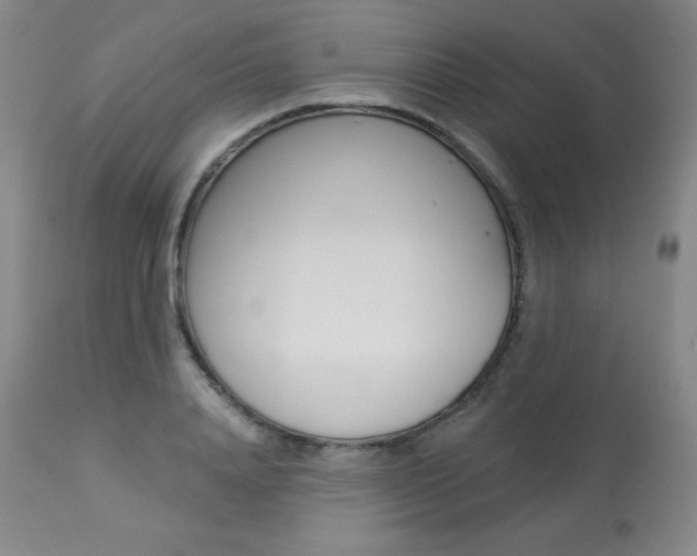 X0000113920840200909241328