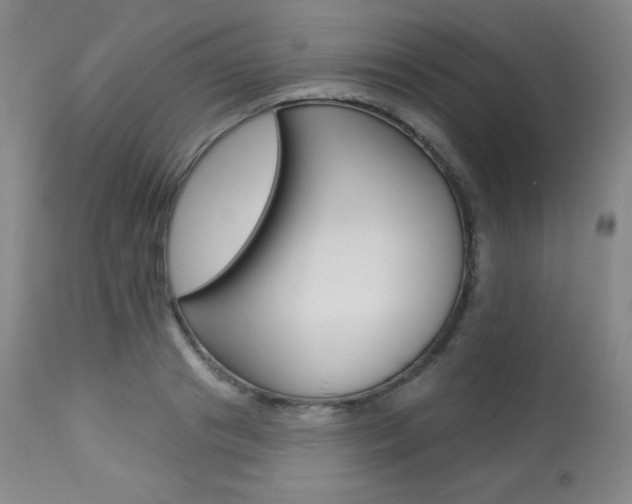 X0000113920841200909241328
