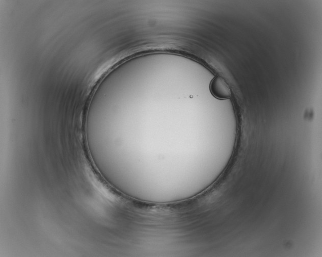 X0000113920842200909241328