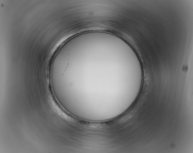 X0000113920843200909241328