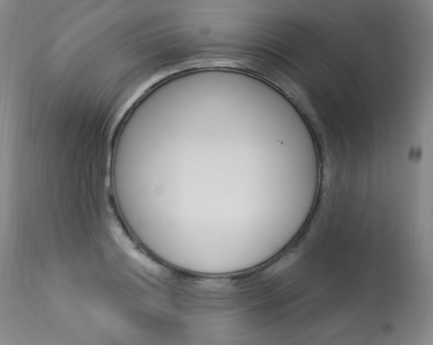 X0000113920844200909241328