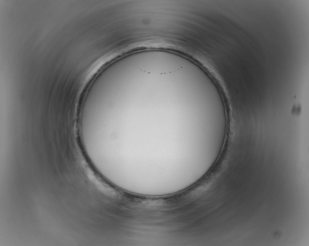 X0000113920845200909241328