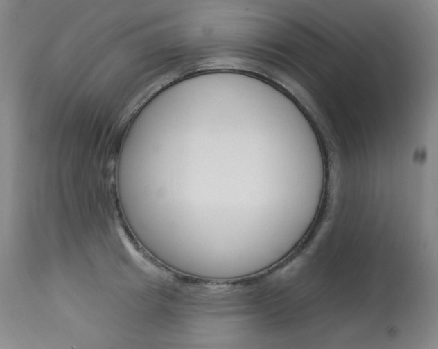 X0000113920849200909241328
