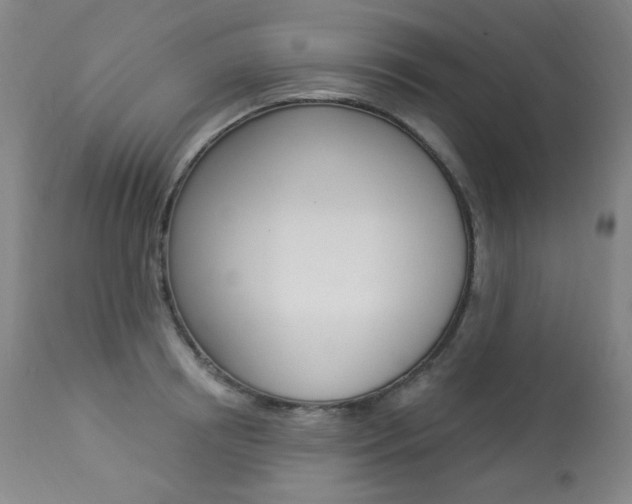 X0000113920850200909241328