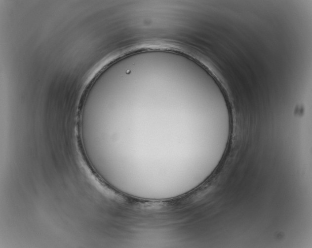 X0000113920853200909241328